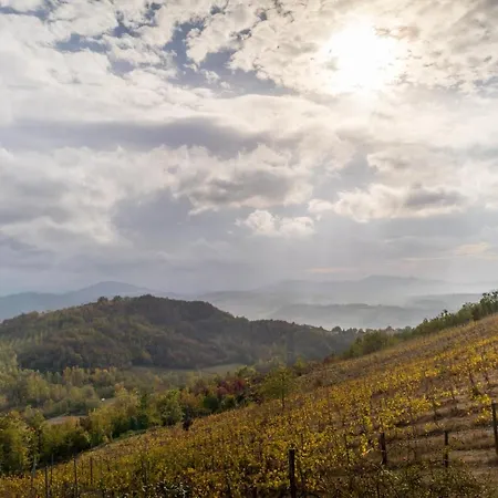 Oasi Di Mastarone - Il Vino E Le Rose *