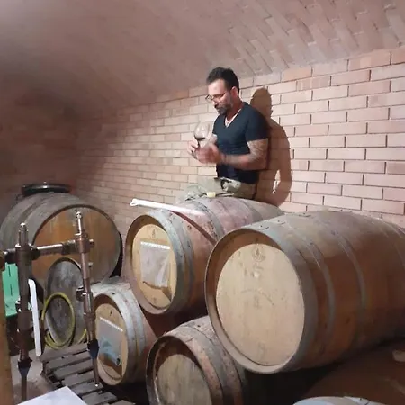 Oasi Di Mastarone - Il Vino E Le Rose * Momperone