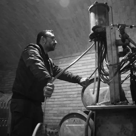 Farma Oasi Di Mastarone - Il Vino E Le Rose