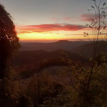 Oasi Di Mastarone - Il Vino E Le Rose *