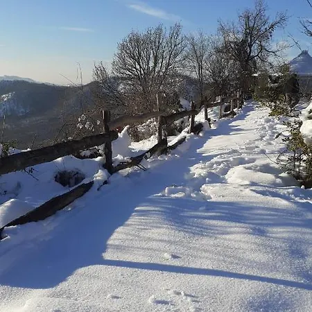 Oasi Di Mastarone - Il Vino E Le Rose * Momperone
