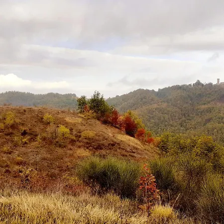 Farma Oasi Di Mastarone - Il Vino E Le Rose
