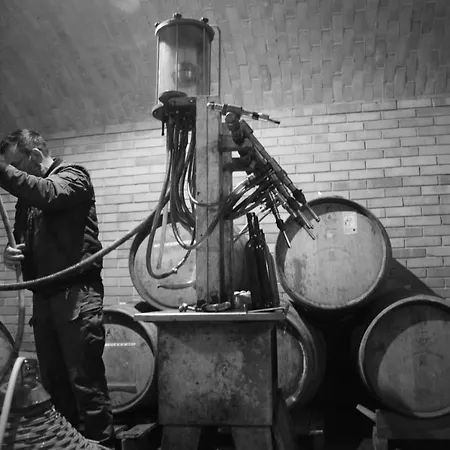 Farm stay Oasi Di Mastarone - Il Vino E Le Rose *