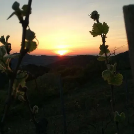 Oasi Di Mastarone - Il Vino E Le Rose Farm stay *