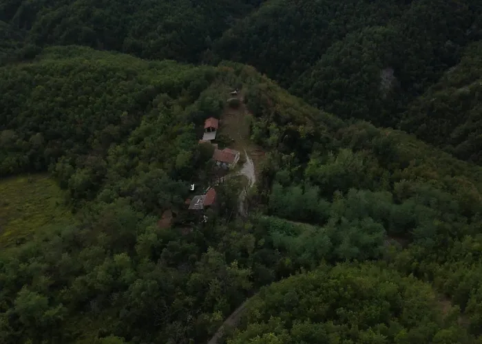 Oasi Di Mastarone - Il Vino E Le Rose Momperone